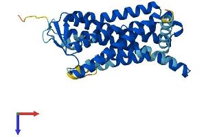 Olfactory Receptor, Family 6, Subfamily C, Member 76 (OR6C76) (AA 1-312) protein (His tag)