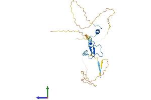 AlphaFold protein structure predicition of Human Recombinant PHF13 Protein, UniprotID Q86YI8 (PHF13 Protein (AA 1-300) (His tag))