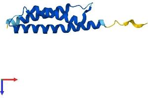 Protein Structure (PS) image for alpha Hemoglobin Stabilizing Protein (aHSP) (AA 1-102) protein (His tag) (ABIN7552135)