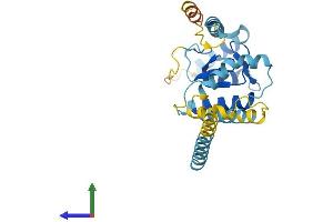 Protein Structure (PS) image for Ring Finger Protein 170 (RNF170) (AA 1-258) protein (His tag) (ABIN7551506)