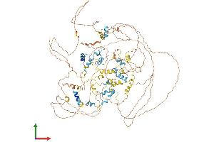 AlphaFold protein structure predicition of Human Recombinant EIF4ENIF1 Protein, UniprotID Q9NRA8