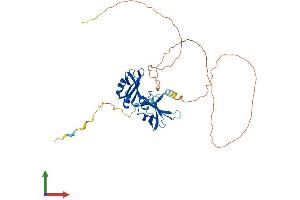 AlphaFold protein structure predicition of Human Recombinant HNRNPA3 Protein, UniprotID P51991
