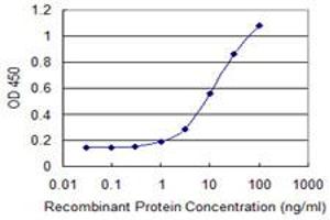 Detection limit for recombinant GST tagged PQBP1 is 0. (PQBP1 抗体  (AA 184-265))