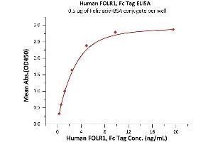 Immobilized Folic acid-BSA conjugate at 5 μg/mL (100 μL/well) can bind Human FOLR1, Fc Tag (Cat. (FOLR1 Protein (AA 25-233) (Fc Tag))