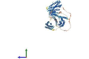 AlphaFold protein structure predicition of Mouse Recombinant Hip1r Protein, UniprotID Q9JKY5