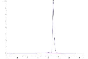 Size-exclusion chromatography-High Pressure Liquid Chromatography (SEC-HPLC) image for Interleukin 21 Receptor (IL21R) (AA 20-232) protein (His tag) (ABIN7275014)