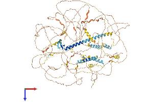 Atrophin 1 Protein (ATN1) (AA 1-1190) (His tag)