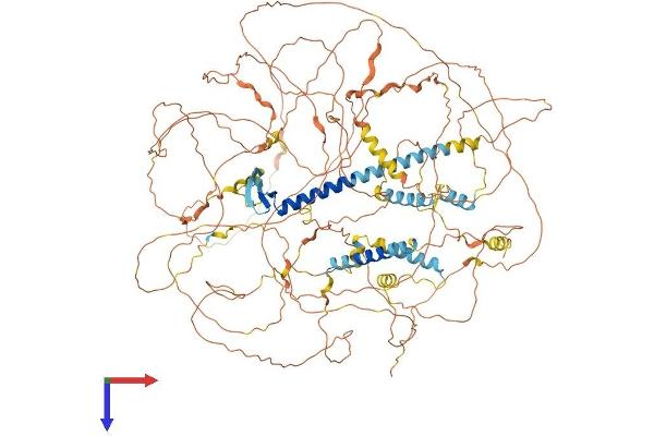 Atrophin 1 Protein (ATN1) (AA 1-1190) (His tag)