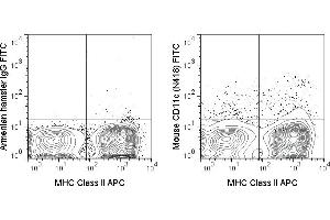 C57Bl/6 splenocytes were stained with APC Anti-Mouse MHC Class II (ABIN6961377) and 0. (CD11c 抗体  (FITC))