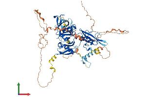 Protein Structure (PS) image for Growth Factor Receptor-Bound Protein 10 (GRB10) (AA 1-621) protein (His tag) (ABIN7563876)