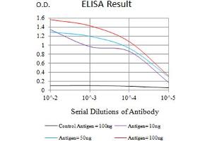 Black line: Control Antigen (100 ng),Purple line: Antigen (10 ng), Blue line: Antigen (50 ng), Red line:Antigen (100 ng) (CD83 抗体  (AA 20-144))