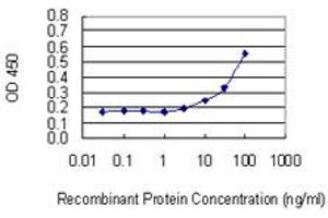 Detection limit for recombinant GST tagged VNN3 is 3 ng/ml as a capture antibody. (VNN3 抗体  (AA 175-274))