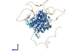 Protein Structure (PS) image for Son of Sevenless Homolog 2 (SOS2) (AA 1-1332) protein (His tag) (ABIN7555545)