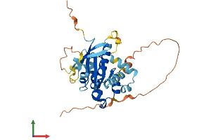 Protein Structure (PS) image for RAB40C, Member RAS Oncogene Family (RAB40C) (AA 1-281) protein (His tag) (ABIN7551270)