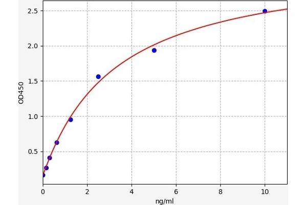 PYGL ELISA 试剂盒