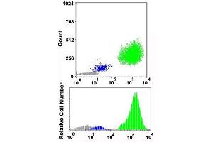 Flow cytometric analysis of human normal whole blood with FUT4 monoclonal antibody, clone MCS-1 (PE) .