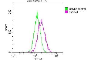 Flow Cytometry (FACS) image for anti-TNF Receptor-Associated Factor 2 (TRAF2) antibody (ABIN7127853)