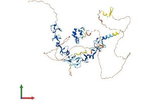 Protein Structure (PS) image for Actin Binding LIM Protein Family, Member 2 (ABLIM2) (AA 1-611) protein (His tag) (ABIN7551798)