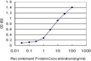 Detection limit for recombinant GST tagged NDE1 is approximately 0. (NDE1 抗体  (AA 1-335))