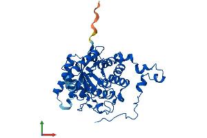 AlphaFold protein structure predicition of Human Recombinant BHMT2 Protein, UniprotID Q9H2M3