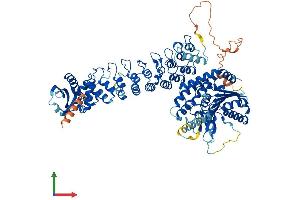 Protein Structure (PS) image for Phospholipase A2, Group VI (Cytosolic, Calcium-Independent) (PLA2G6) (AA 1-806) protein (His tag) (ABIN7554973)