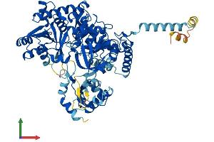 AlphaFold protein structure predicition of Human Recombinant ACSL1 Protein, UniprotID P33121