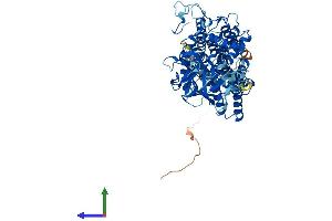 Protein Structure (PS) image for Protein-O-Mannosyltransferase 2 (POMT2) (AA 1-750) protein (His tag) (ABIN7555048)
