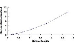 Typical standard curve (DAPK3 ELISA 试剂盒)