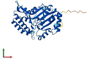 AlphaFold protein structure predicition of Human Recombinant NT5C3B Protein, UniprotID Q969T7