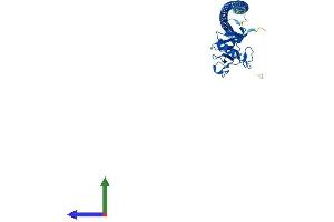 Protein Structure (PS) image for C-Type Lectin Domain Family 10, Member A (CLEC10A) (AA 1-304) protein (His tag) (ABIN7563336)