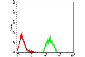 Flow Cytometry (FACS) image for anti-K(lysine) Acetyltransferase 2B (KAT2B) (AA 1-142) antibody (ABIN7193343)