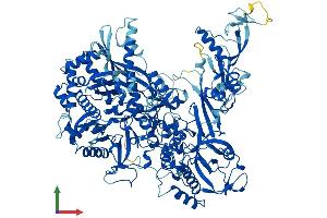 Protein Structure (PS) image for Polymerase (RNA) I Polypeptide B, 128kDa (POLR1B) (AA 1-1135) protein (His tag) (ABIN7563533)