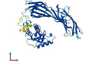 Protein Structure (PS) image for Adaptor-Related Protein Complex 3, mu 1 Subunit (AP3M1) (AA 1-418) protein (His tag) (ABIN7561631)