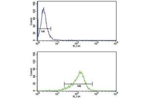 IL-12 antibody flow cytometry analysis of MDA-MB231 cells (green) compared to a negative control (blue). (IL12 抗体  (AA 168-195))