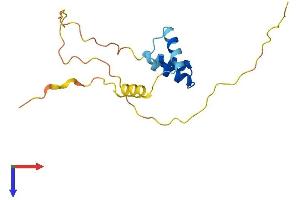 Mitotic Spindle Organizing Protein 2A (MZT2A) (AA 1-158) protein (His tag)