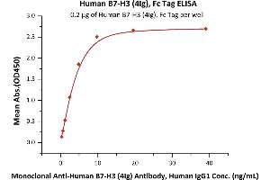 Immobilized Human B7-H3 (4Ig), Fc Tag (ABIN6731237,ABIN6809953) at 2 μg/mL (100 μL/well) can bind Monoclonal A B7-H3 / B7-H3 (4Ig) Antibody, Human IgG1 with a linear range of 0.