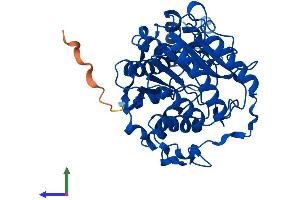 Protein Structure (PS) image for Histone Deacetylase 8 (HDAC8) (AA 1-377) protein (His tag) (ABIN7554082)