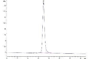 Size-exclusion chromatography-High Pressure Liquid Chromatography (SEC-HPLC) image for CD274 (PD-L1) (AA 19-238) protein (His-Avi Tag,Biotin) (ABIN7275434)