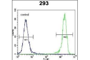 DDIT3 Antibody (C-term ) (ABIN655895 and ABIN2845295) flow cytometric analysis of 293 cells (right histogram) compared to a negative control cell (left histogram). (DDIT3 抗体  (C-Term))