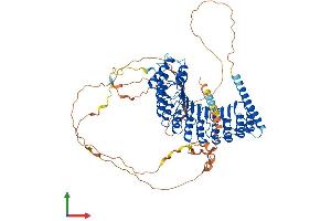 Protein Structure (PS) image for Protein Phosphatase 1, Regulatory Subunit 37 (PPP1R37) (AA 1-691) protein (His tag) (ABIN7550935)