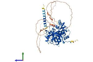 Protein Structure (PS) image for ST6 beta-Galactosamide alpha-2,6-Sialyltranferase 2 (ST6GAL2) (AA 1-529) protein (His tag) (ABIN7555464)