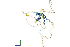 AlphaFold protein structure predicition of Human Recombinant HOXD8 Protein, UniprotID P13378