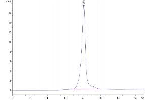 Size-exclusion chromatography-High Pressure Liquid Chromatography (SEC-HPLC) image for Carbonic Anhydrase IX (CA9) (AA 38-414) protein (His-Avi Tag) (ABIN7274014)