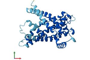 Protein Structure (PS) image for Solute Carrier Family 25 (Mitochondrial Carrier, Adenine Nucleotide Translocator), Member 6 (SLC25A6) (AA 1-298) protein (His tag) (ABIN7551956)