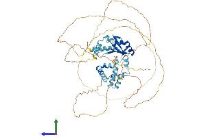 Protein Structure (PS) image for Cleavage Stimulation Factor, 3' Pre-RNA, Subunit 2, 64kDa (CSTF2) (AA 1-577) protein (His tag) (ABIN7546775)
