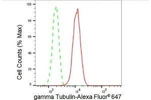 Flow cytometric analysis of gamma Tubulin expression in HepG2 cells using gamma Tubulin antibody (ABIN7800670), 1:2,000).