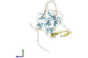 Protein Structure (PS) image for Zinc Finger Protein 775 (ZNF775) (AA 1-537) protein (His tag) (ABIN7545587)