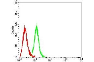 Flow cytometric analysis of Hela cells using CAPN1 mouse mAb (green) and negative control (red). (CAPNL1 抗体  (AA 501-714))