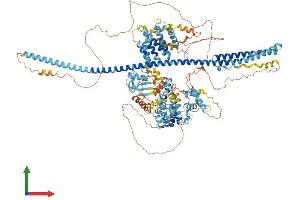 AlphaFold protein structure predicition of Human Recombinant DZIP3 Protein, UniprotID Q86Y13
