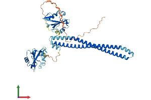 AlphaFold protein structure predicition of Human Recombinant PIK3R3 Protein, UniprotID Q92569